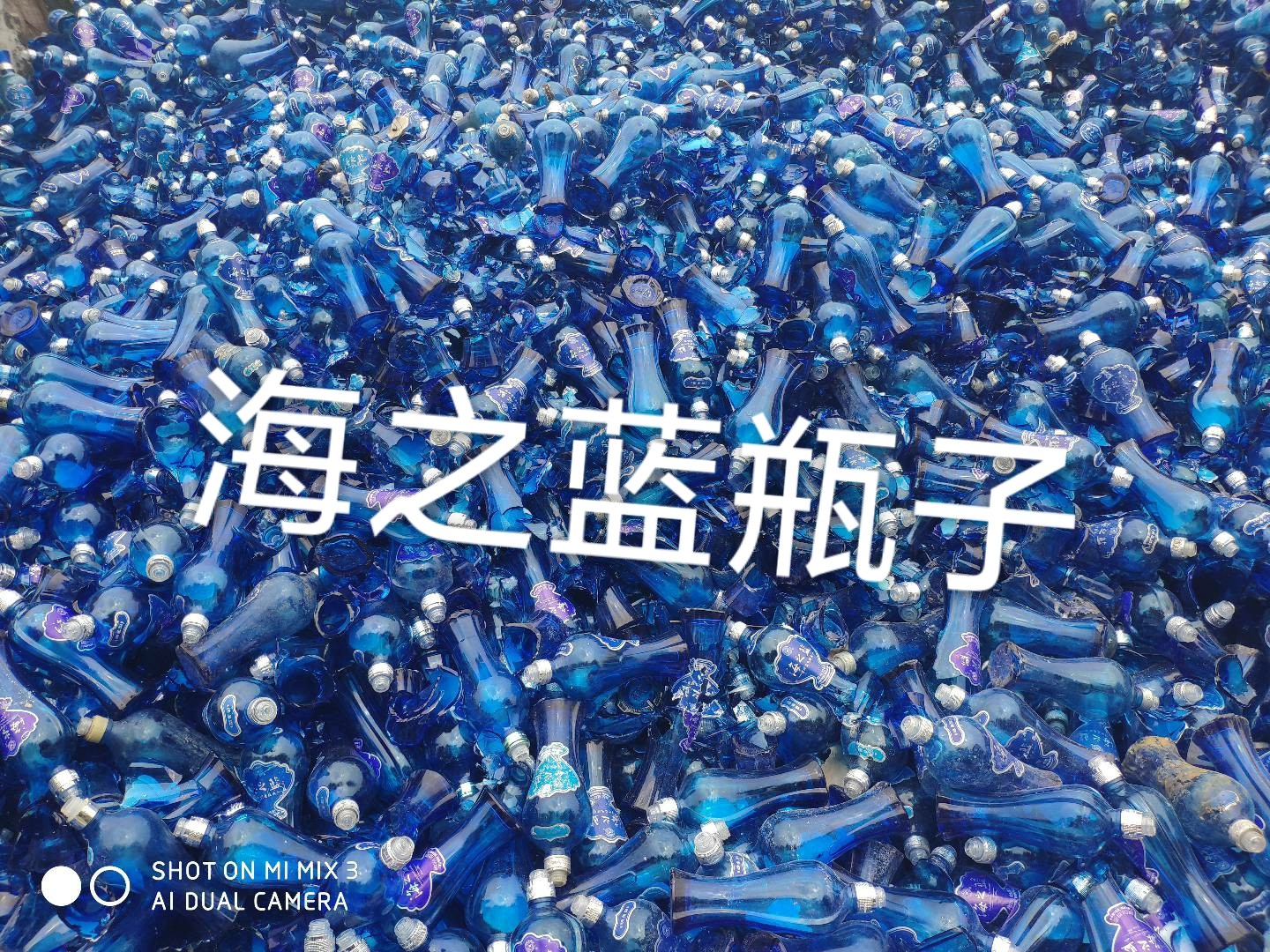 睢宁海之蓝瓶回收